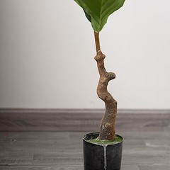 2 Green 3 ft Fig Tree Potted Artificial Plants Wedding Party Home Decorations