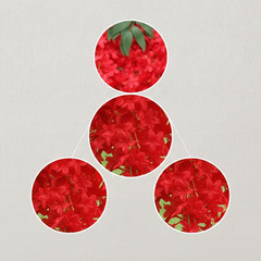 Artificial Flowers for Outdoors, Super Dense Blossoming Climber Flower Vines