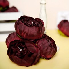 10 BURGUNDY 3″ Faux SILK PEONY FLOWER Heads Wedding Party Events Decorations