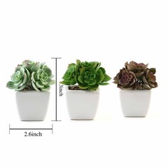 Set of 3 5″ tall Assorted Artificial Faux Succulent Plants with Off White Pots