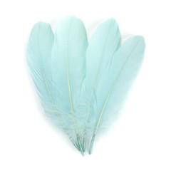 Mint Green Goose Feathers 6-8″ 12 Pc Wedding Millinery Crafts Decoration