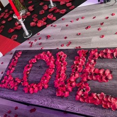 2000 PCS Silk Rose Petals Artificial Flower Petals Wedding Party Valentine’s