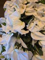 Lovely Cascade Of Faux Cala Lilys 24″ Wedding Door Deco