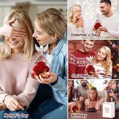 Birthday Day Rose Gifts for Women, Preserved Flowers Gift Mom, Red