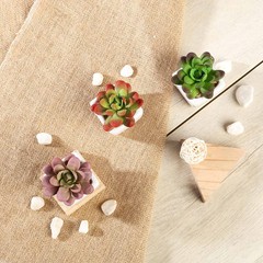 3 Green 3″ Off White Ceramic Pots Assorted Faux Mini Succulent Plants Home Gift