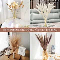 Hierba de pampa 110PCS Flores secas Hierba de caña Hierba de cola de conejo NEW
