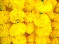 10 PC Lot Wedding Artificia Marigold Decoration Home Party Garland Flowers Vine