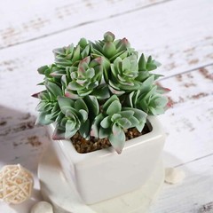 Green 3 Assorted 4″ Faux Crassula Succulent Plants Off White Pots Party