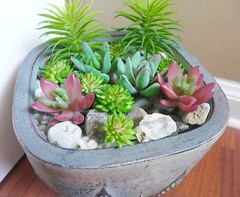 Set of 12 Artificial Mini Grass Succulents(Mix Plants)