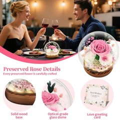 Preserved Flowers Mothers Day Gifts, Gifts for Mom Wife Grandma Pink