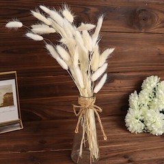 WHITE 50 Stems 15″ Rabbit Tail Dried Natural Pampas Grass SPRAYS Party Events