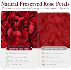 180 PCS Red Rose Petals Confetti – Freeze Dried Flower Decor for Weddings & Vale