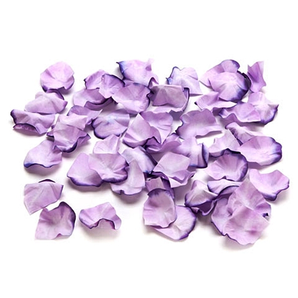 50 pc. BOX DAVID TUTERA GARDEN ROMANCE PETALS WEDDING DECOR FLOWER GIRL BASKET
