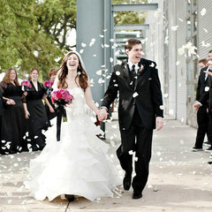 2200 PCS Silk Flower Rose Petals for Wedding Decorations (Ivory)