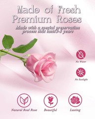 HVY Preserved Flowers Gifts for Her,Preserved Rose Bouquet in Glass Pink