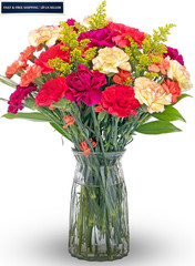 Benchmark Bouquets Carnation Flower Bouquet – Graduation Flowers for Assorted