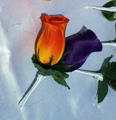 23 Pc Wedding Bouquet Set, Purple Roses, Orange Roses, White, Bouquet Package
