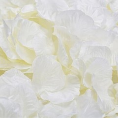 Ivory Fake Silk Rose Petals – 100/Bag (QYAC-IVY7)