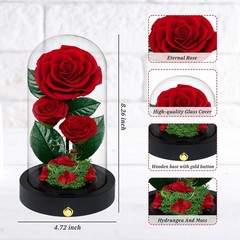 3 Preserved Flowers Roses in Glass Dome for Beauty 7.5 inches, Red
