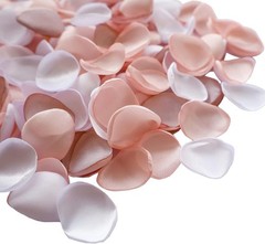 300pcs Terracotta Rose Petals Satin Flower Petals Wedding Flower Girl Basket