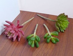 4 Artificial Succulents 3 Stem Yacon Red Finger Lotus Grass