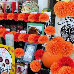 Pcs Artificial Chrysanthemums Flowers Silk Ball Flowers Fake Mums 12 Red