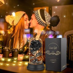 Deluxsa Forever Preserved Black Rose Birthday Gifts for Women,Eternal Flower