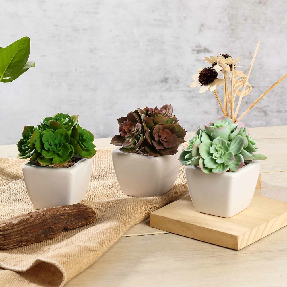 Burgundy Dark and Light Green 5″ Faux Succulent Plants Off White Pots Party
