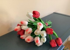 24 stems red/white, red and white tulip bridal bouquet