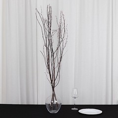 6 Natural Extra Long 46″ Birch Tree Branches Vase Fillers FLOWERS STEMS Wedding