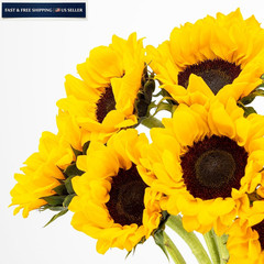 Benchmark Bouquets – Sunflowers – Fresh Flowers for Delivery – Mothers Yellow