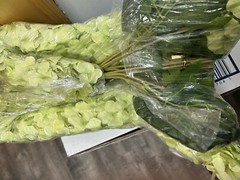 3 Pack Of 12 Each Wisteria Hanging Flowers 3.77 Feet Artificial Green New