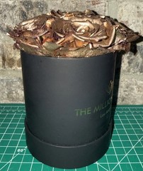 The Million Roses Los Angeles Black With Gold Roses Beautiful Piece lightly Used