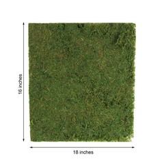 18×16-Inch Green Natural Preserved Moss Sheet Party DIY Crafts Supplies Event