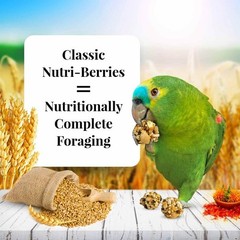 LAFEBER’S Classic Nutri-Berries Parrot Food, Non-GMO, Human-Grade, 14 lb