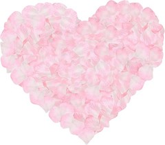Beautiful 1000 Pcs Light Pink & White Silk Rose Petals for Parties & Weddings