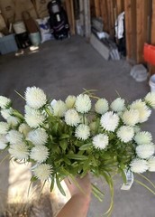 Dried Floral Bundle