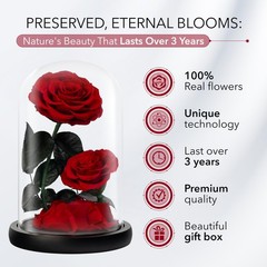 Eternal Flower in a Glass Dome: Preserved Rose – Large, Red-double