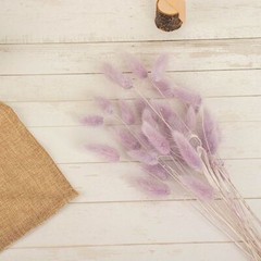 LAVENDER 50 Stems 15″ Rabbit Tail Dried Natural Pampas Grass SPRAYS Party Events