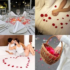 1500 PCS Separated Artificial Orange & Red Rose Petals Sunset Flower