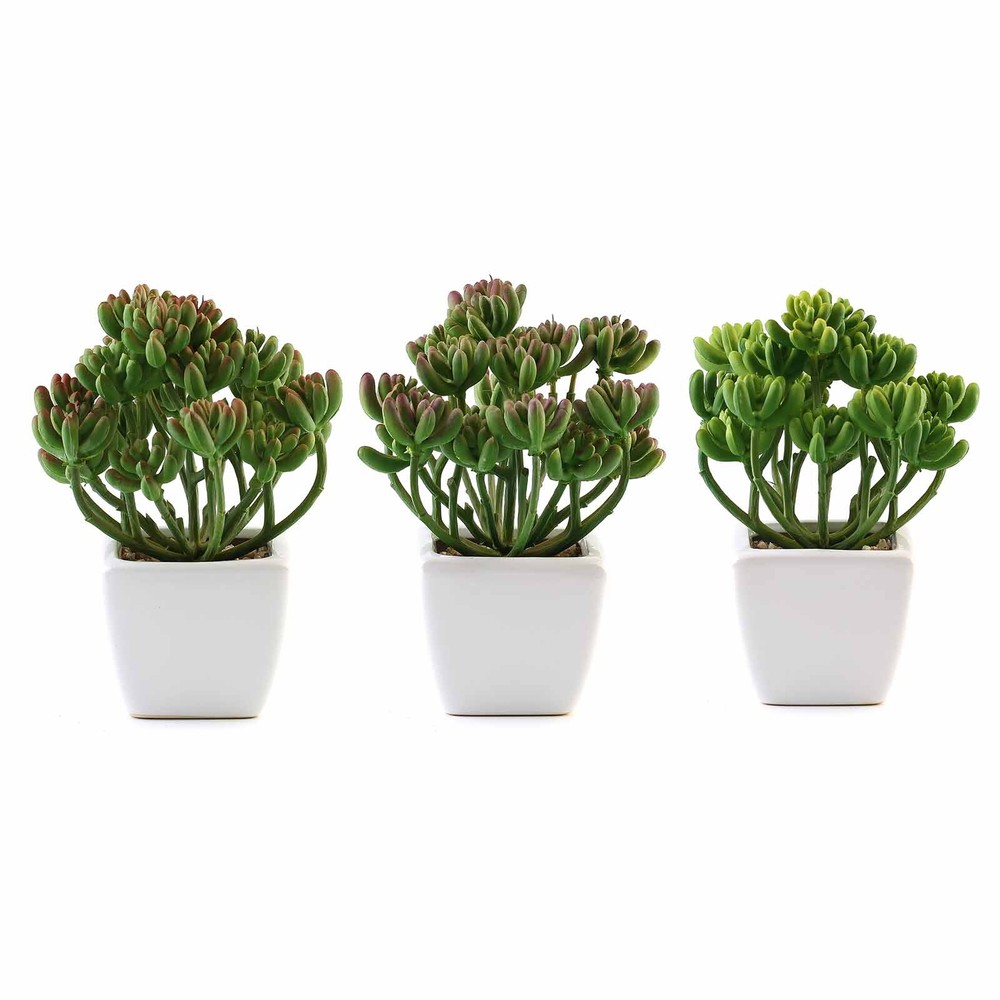 Set of 3 7″ tall Assorted Faux Cute Succulent Plants with Off White Ceramic Pots