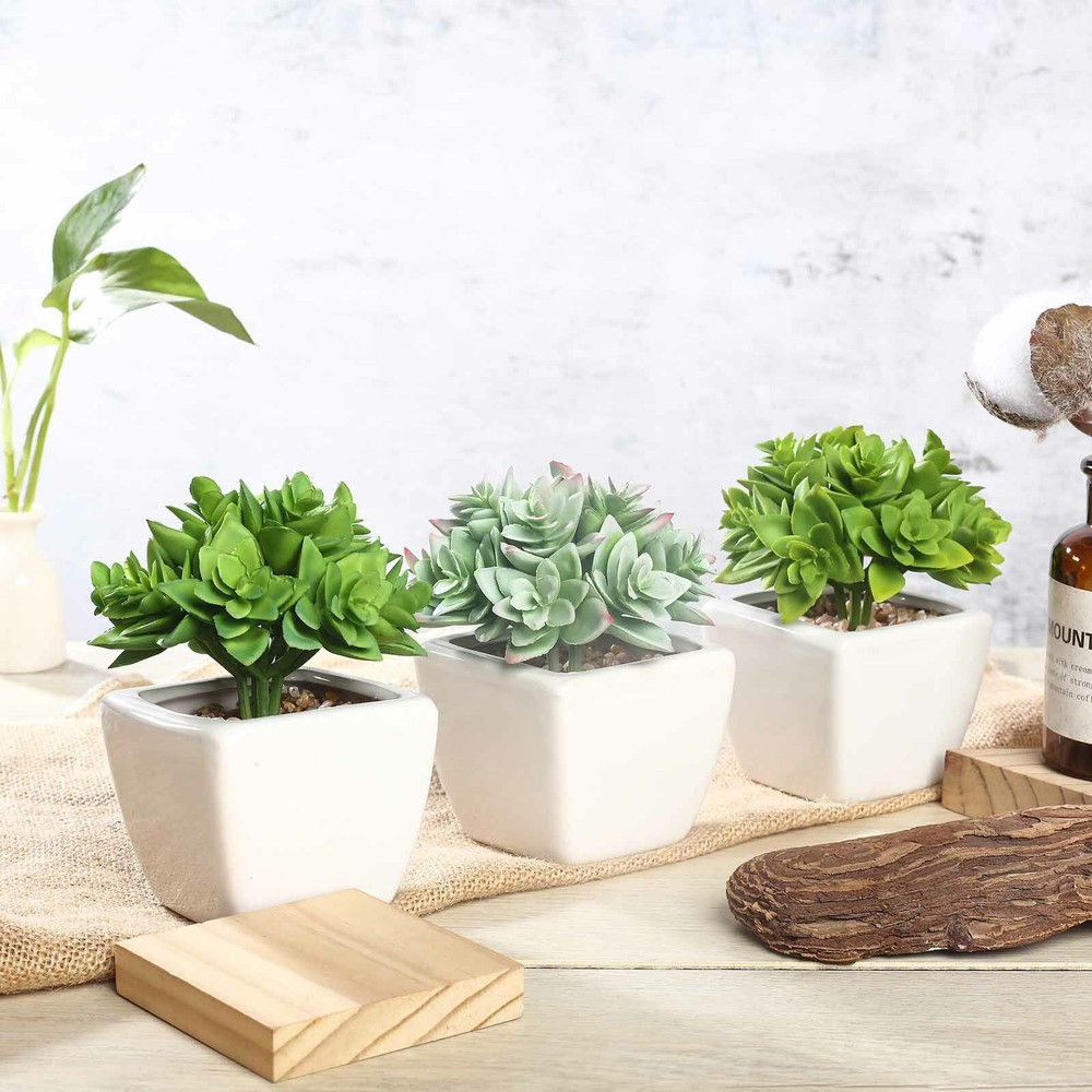 Green 3 Assorted 4″ Faux Crassula Succulent Plants Off White Pots Party