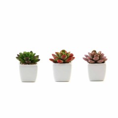 3 Green 3″ Off White Ceramic Pots Assorted Faux Mini Succulent Plants Home Gift