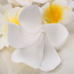 10/50Pcs DIY Frangipani Flowers Artificial Foam Floral Wedding Party Dekor Parts