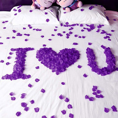 2000 PCS Artificial Silk Rose Petals for Wedding Party Favors Decoration and Vas