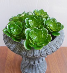 Artificial Small Snow Lotus Plastic Plants Succulents Green Grass One Set of 6