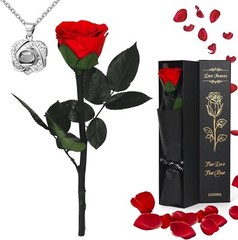 Preserved Real Rose Forever Flower with I Love You Necklace Unique Gifts for Her
