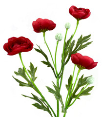 21″ Ranunculus Spray, 4 Heads, Artificial Silk Wedding Flowers Fake Faux Stems