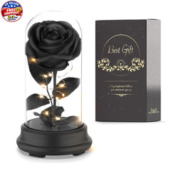 Forever Preserved Black Rose Birthday Gifts for Women,Eternal Flower Gifts for M