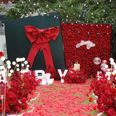 4500PCS Red Rose Petals, Artificial Flower Petals Fake Rose Petals for Romantic